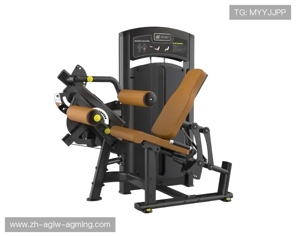 腿部与腹部锻炼必备健身器材推荐与使用示范