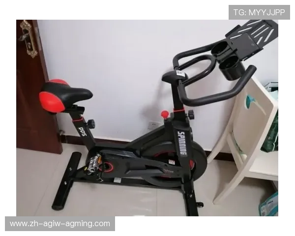 类似单车的健身器材有哪些?不同款式的适用性分析